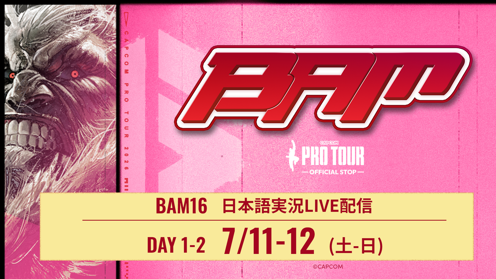 優勝賞金100万ドル『CAPCOM CUP 13』予選「BAM 16」を日本語実況で完全LIVE配信