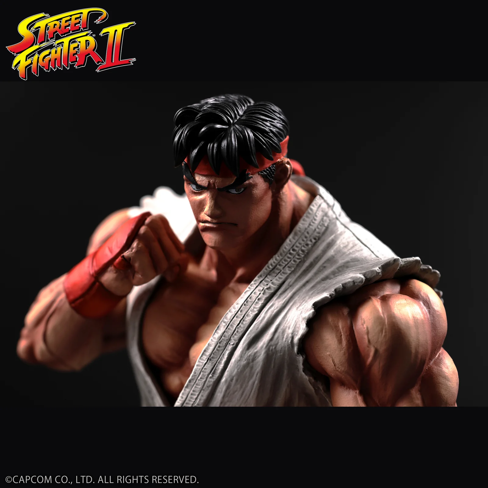 リュウの顔と拳を正面から写した公式カット
