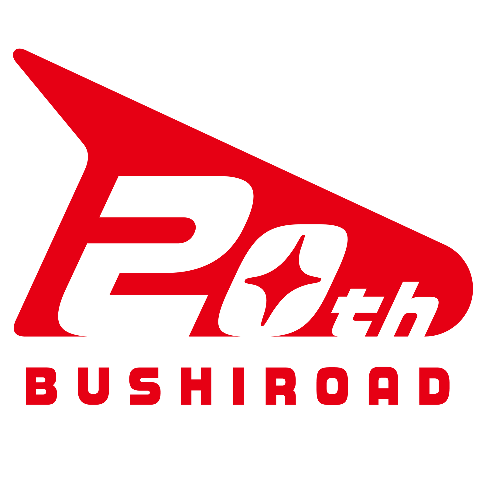 ブシロード創立20周年、2027年は新春大発表会からアリーナライブまで記念企画を一挙発表