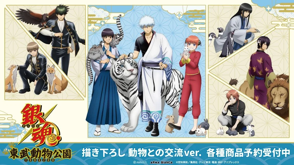 TVアニメ『銀魂』×東武動物公園コラボグッズがAMNIBUSで受注開始 銀時が白虎とふれあう描き下ろし多数